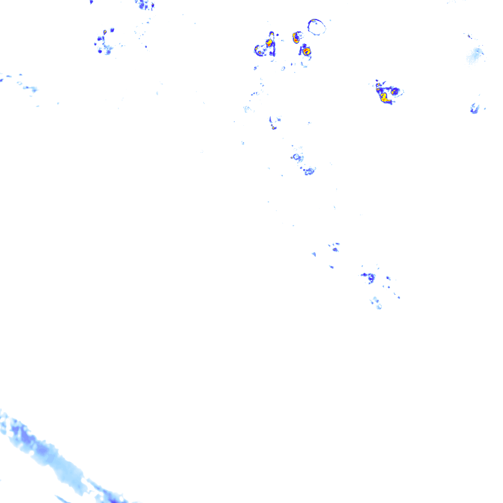 rainLayer