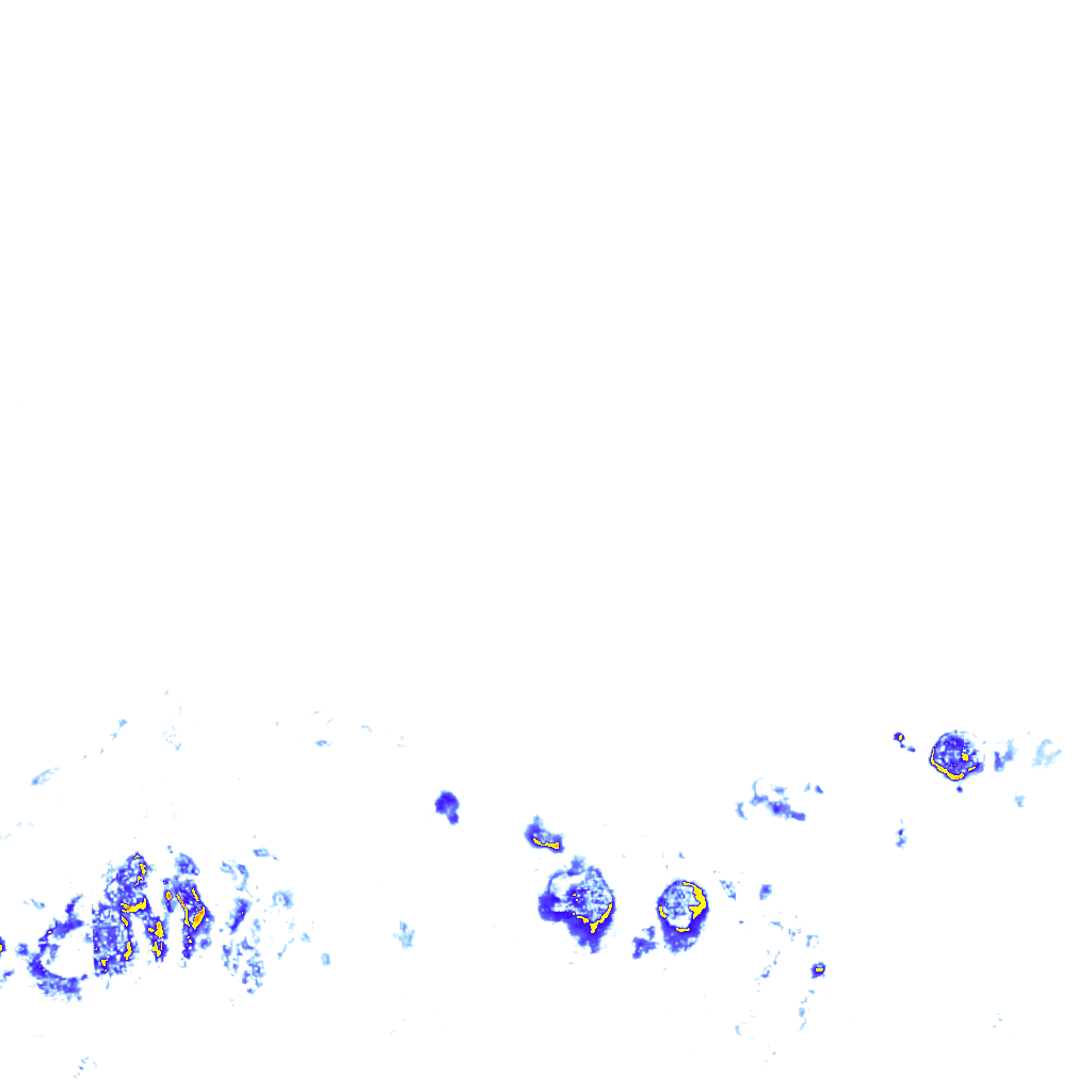 rainLayer