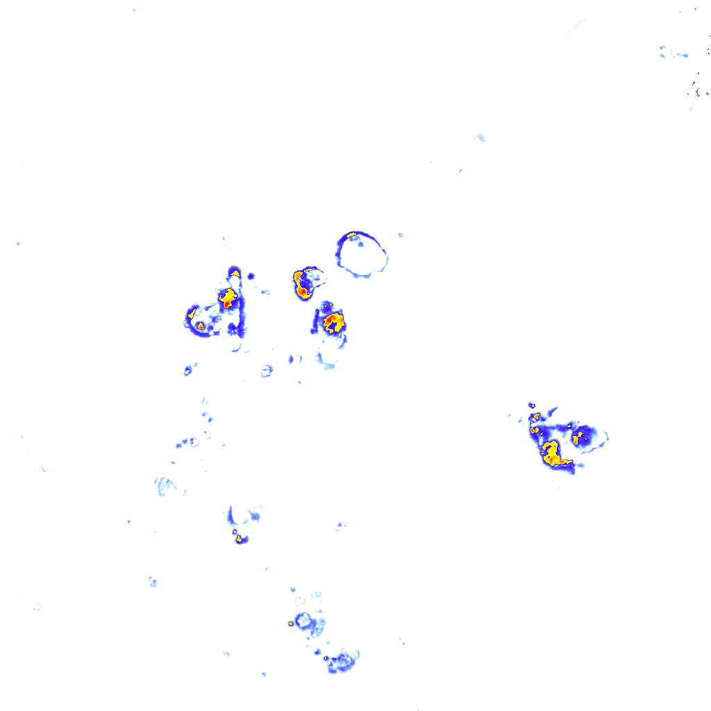 Image Layer