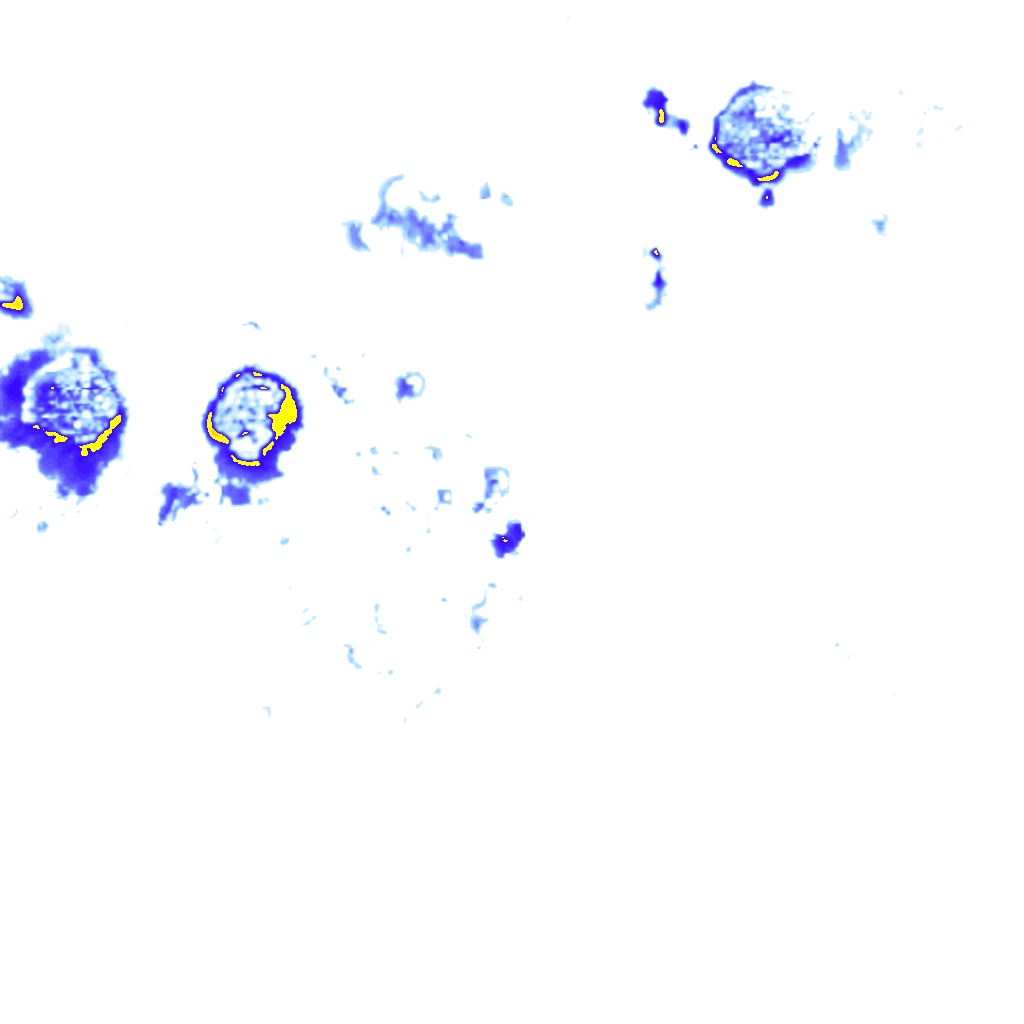 rainLayer