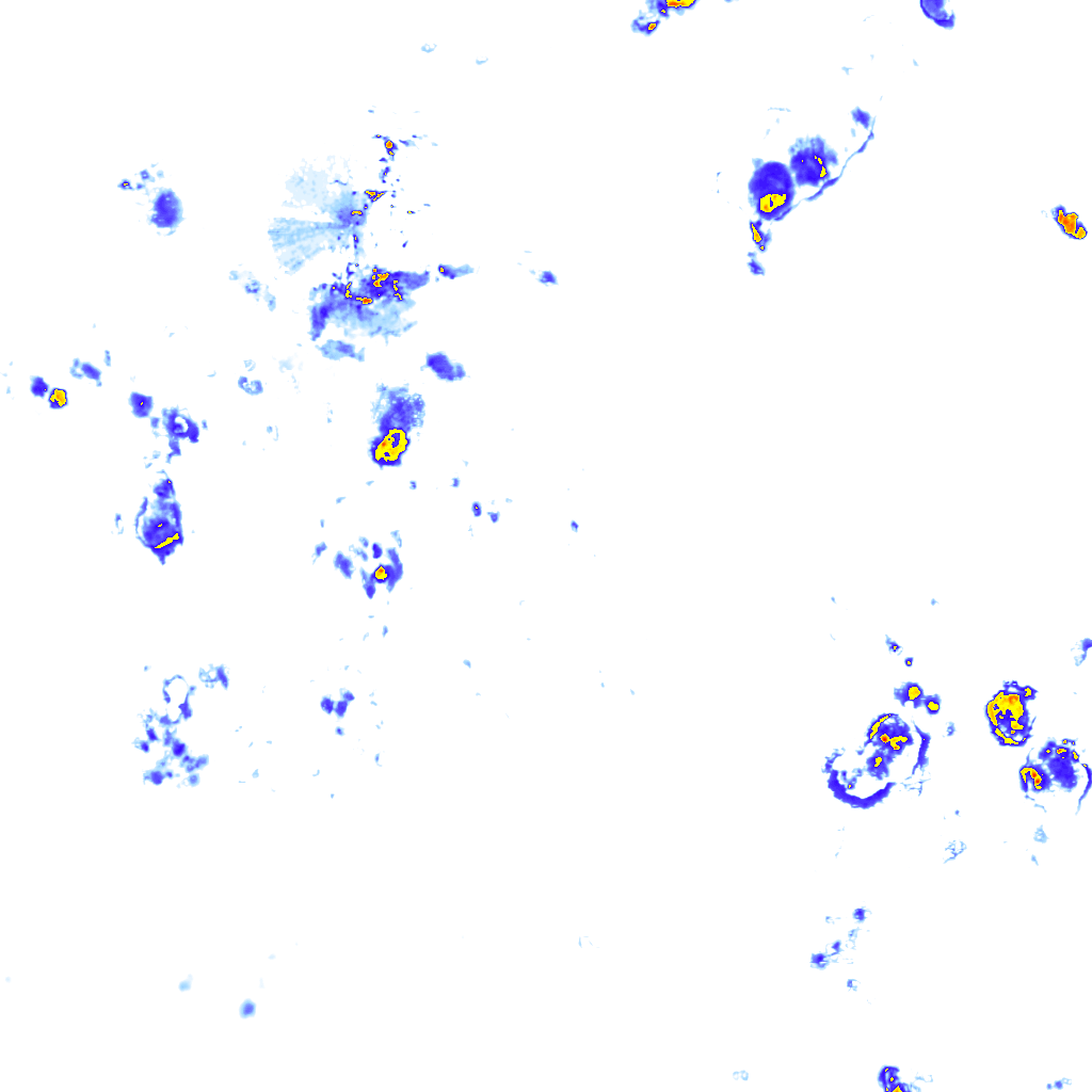 rainLayer