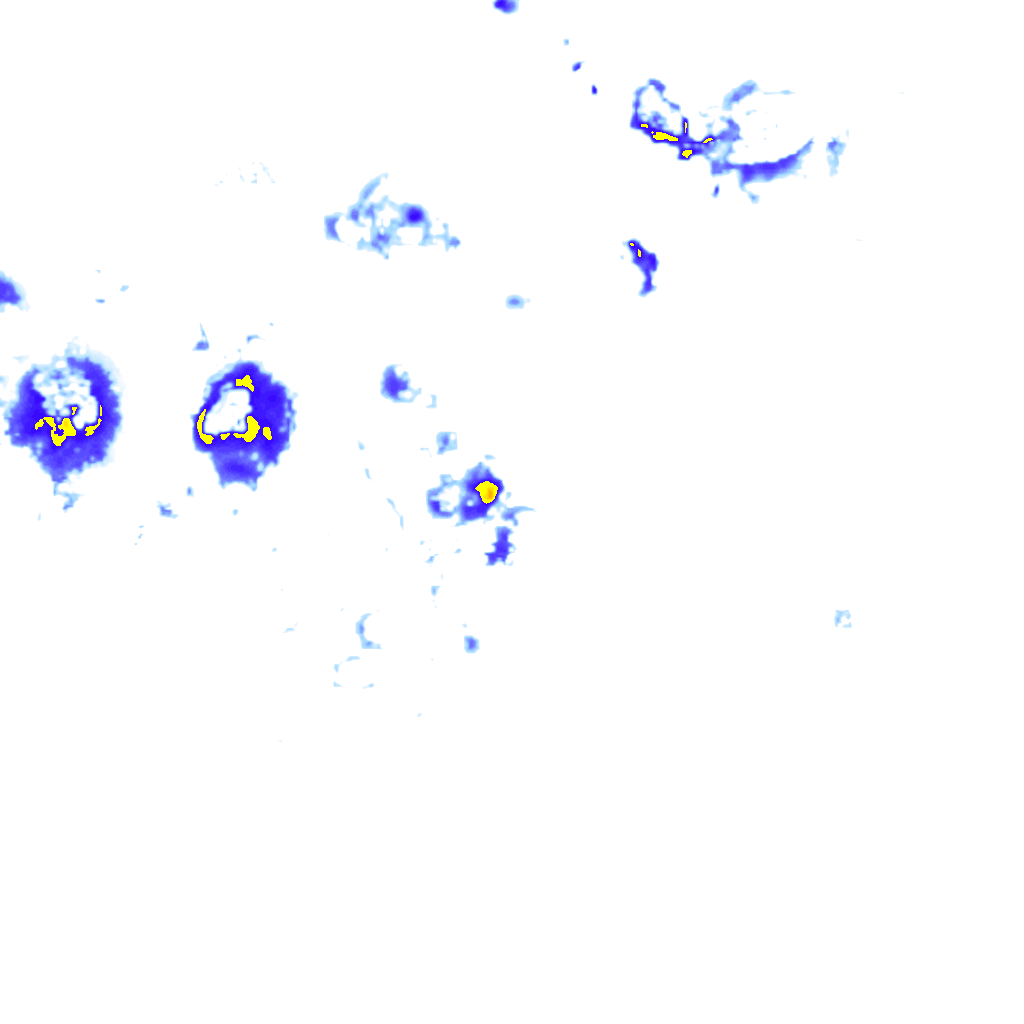 rainLayer
