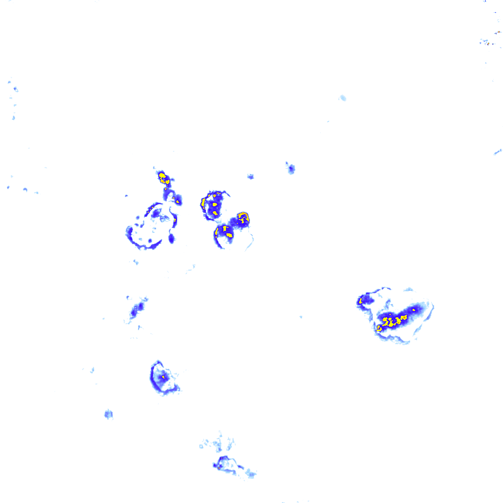 Image Layer