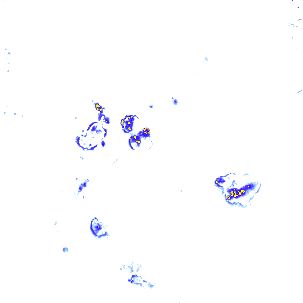 Image Layer