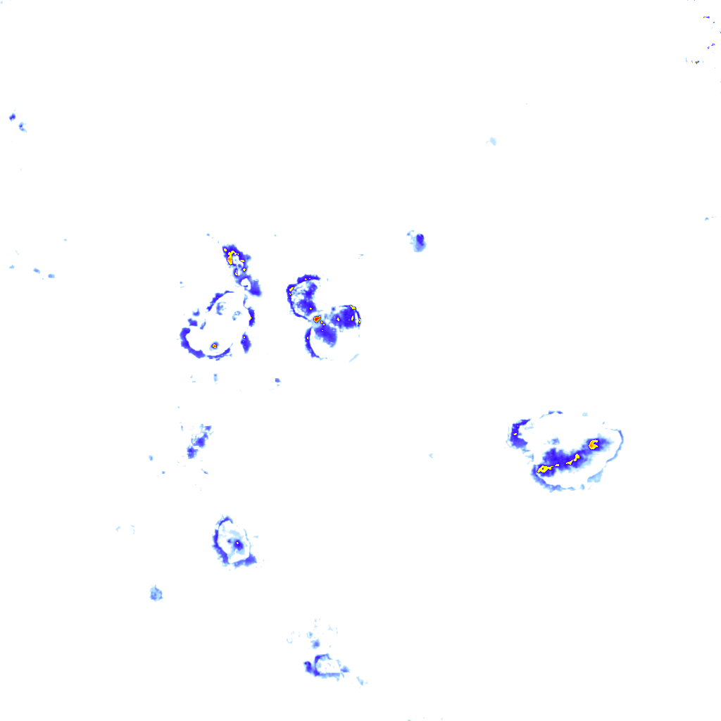 Image Layer