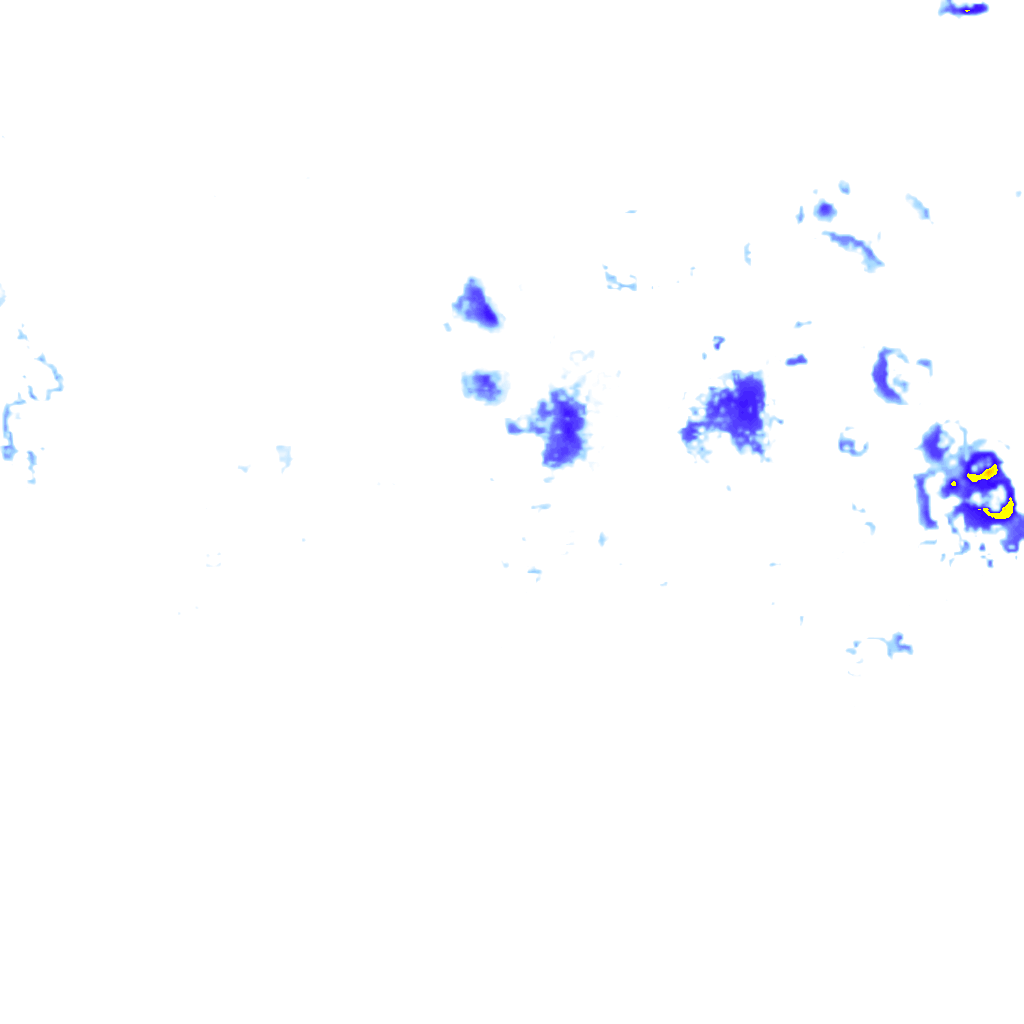 rainLayer