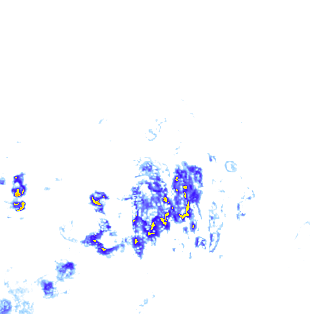 rainLayer