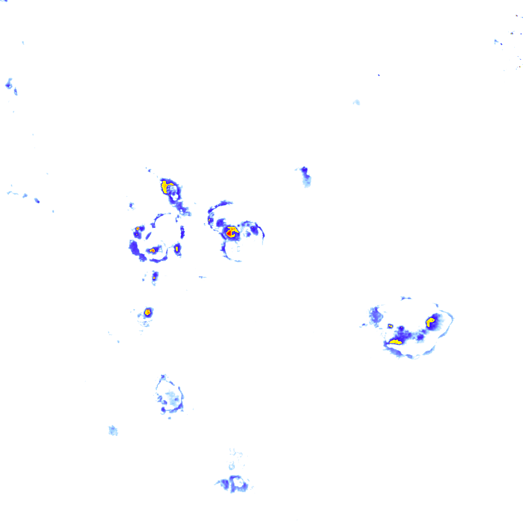 Image Layer