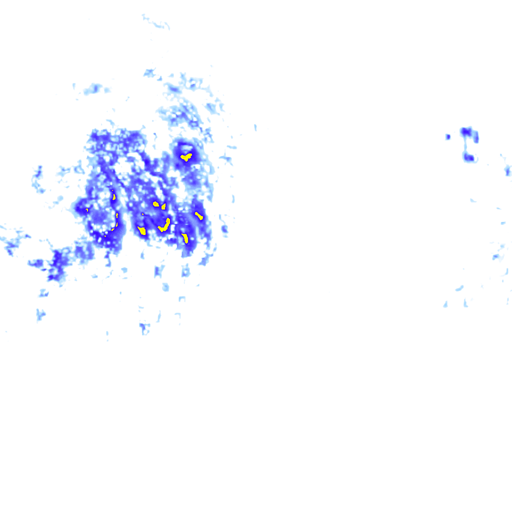 rainLayer