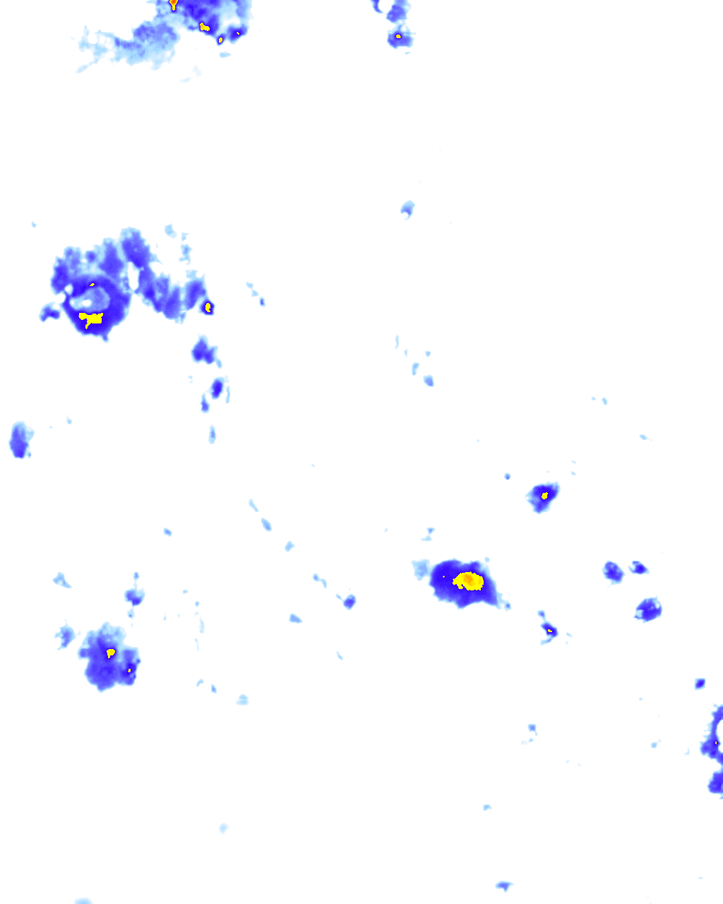 rainLayer