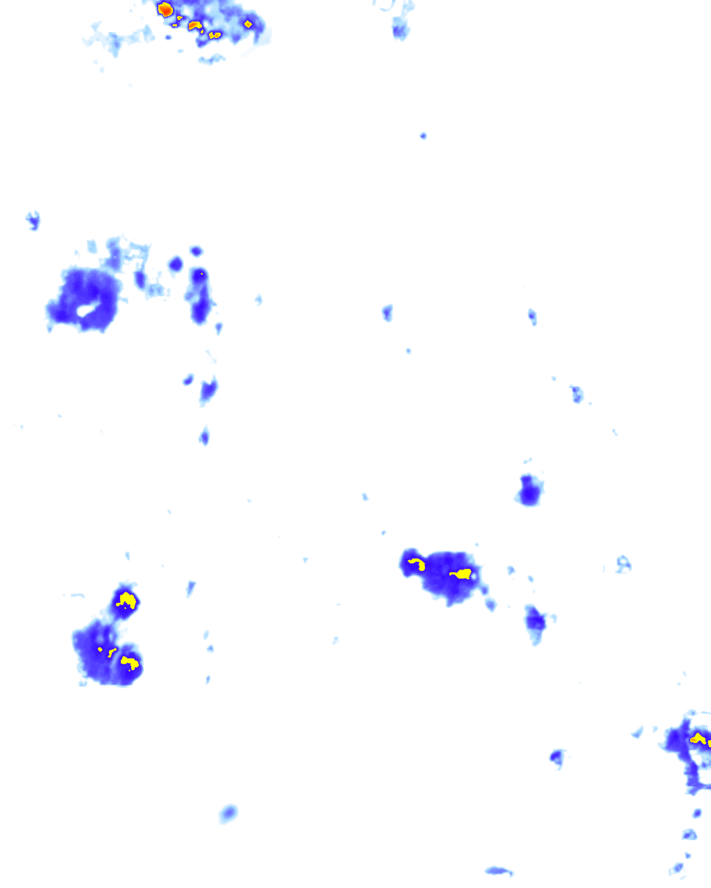 rainLayer