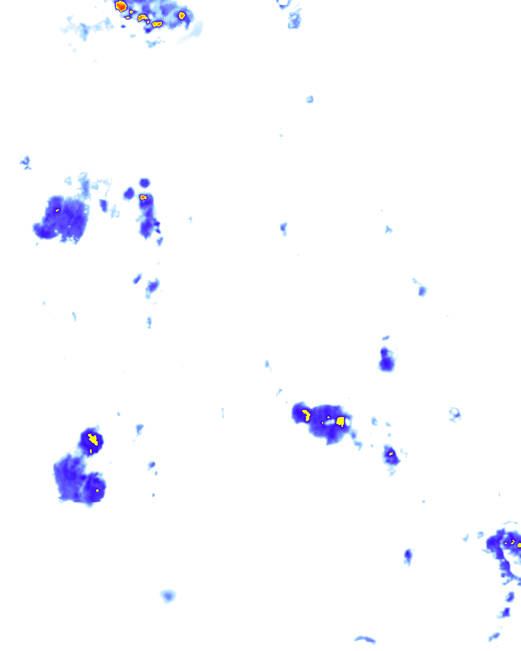 rainLayer