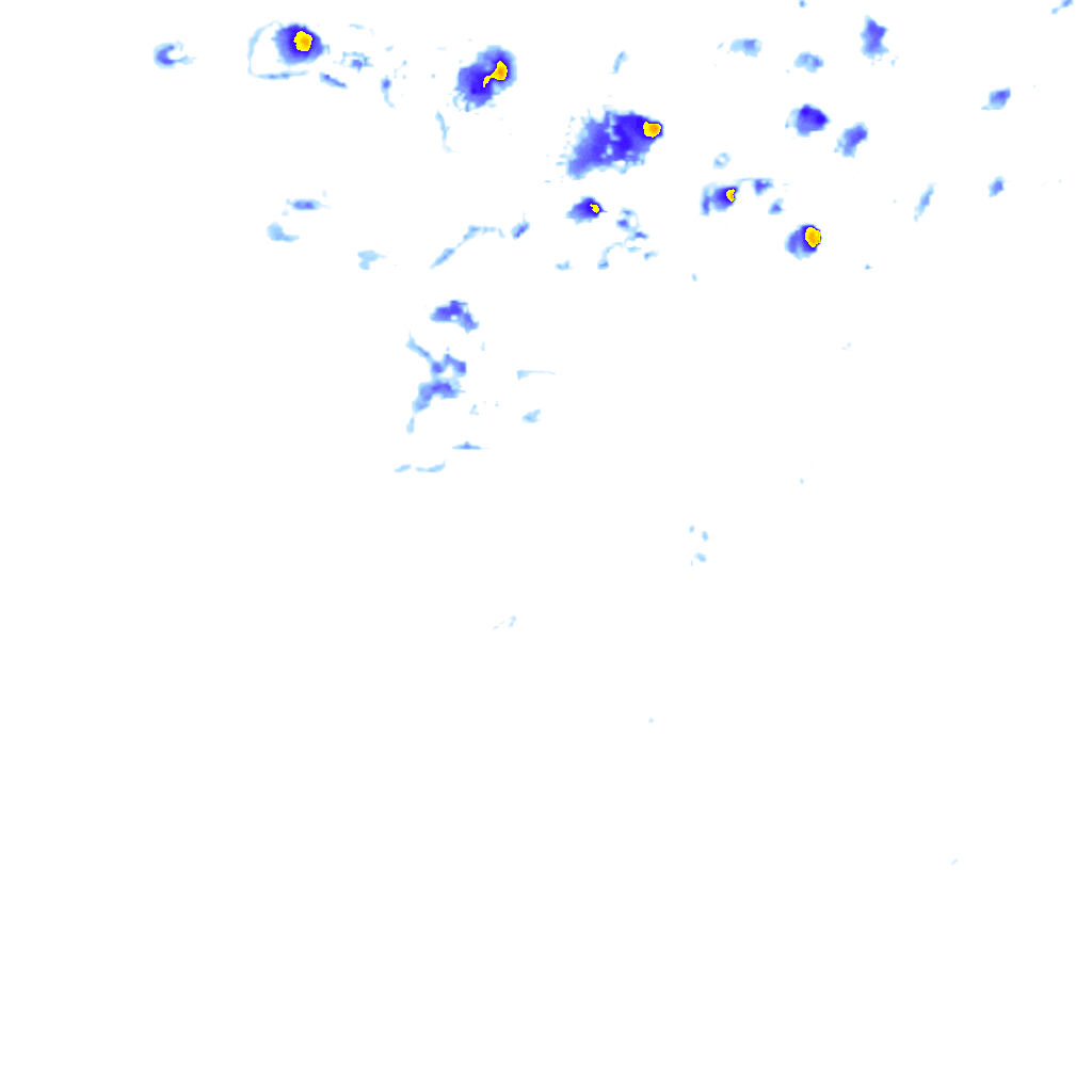 rainLayer