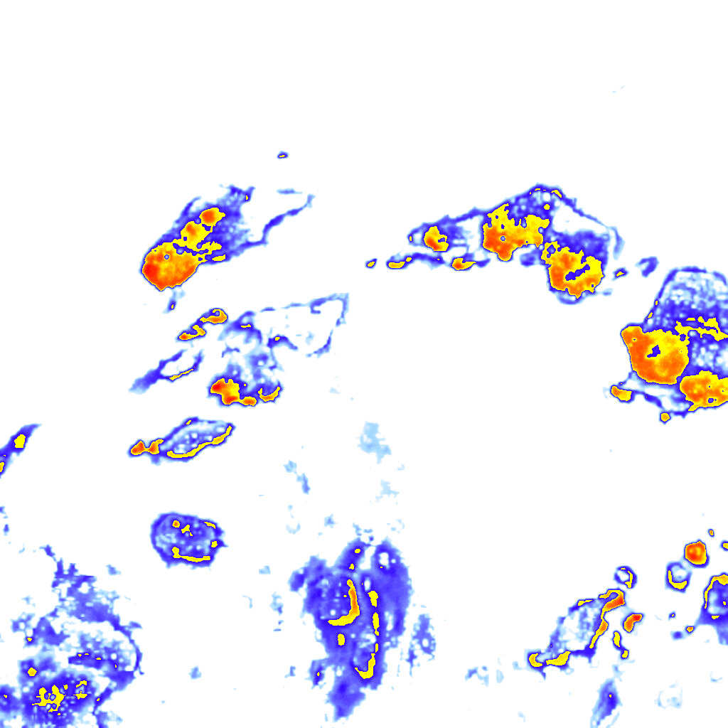 Image Layer