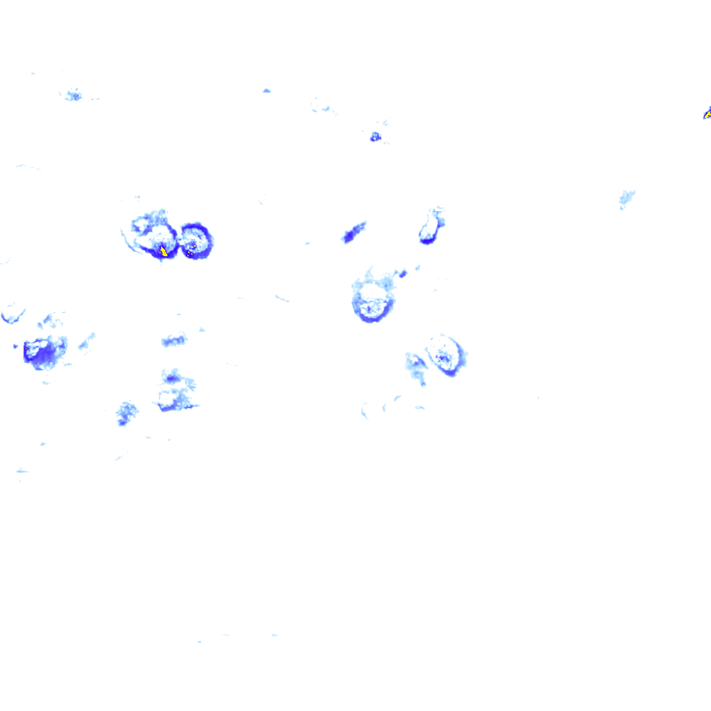 rainLayer