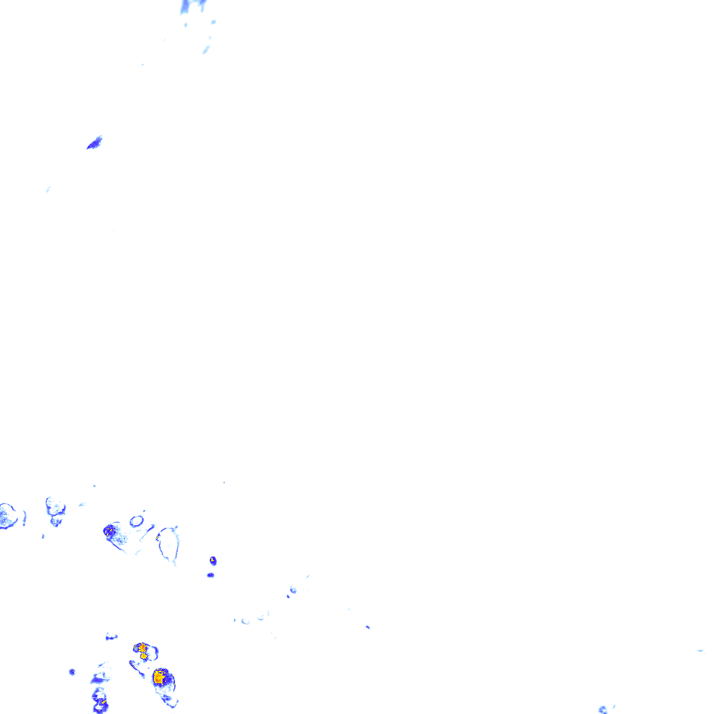 rainLayer