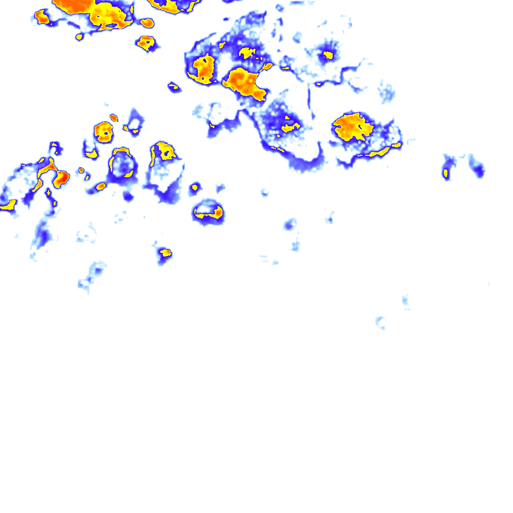 rainLayer