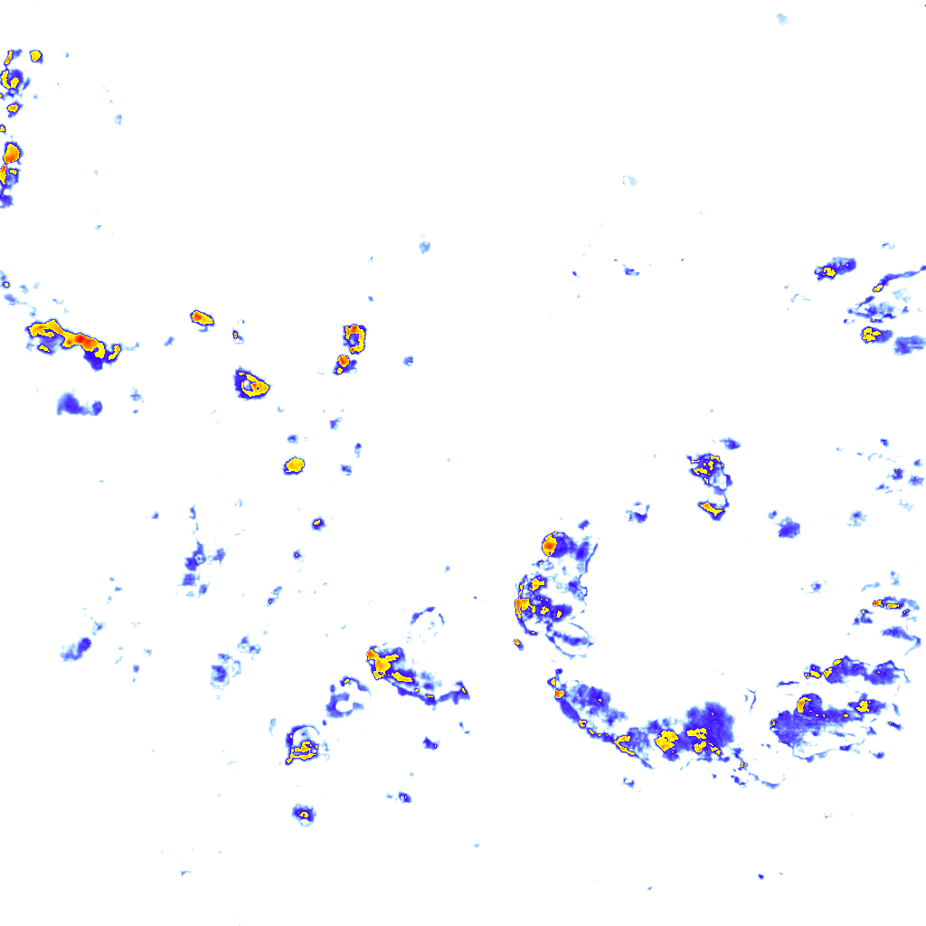 Image Layer