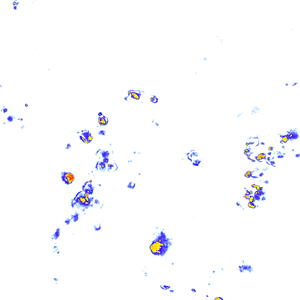 Image Layer
