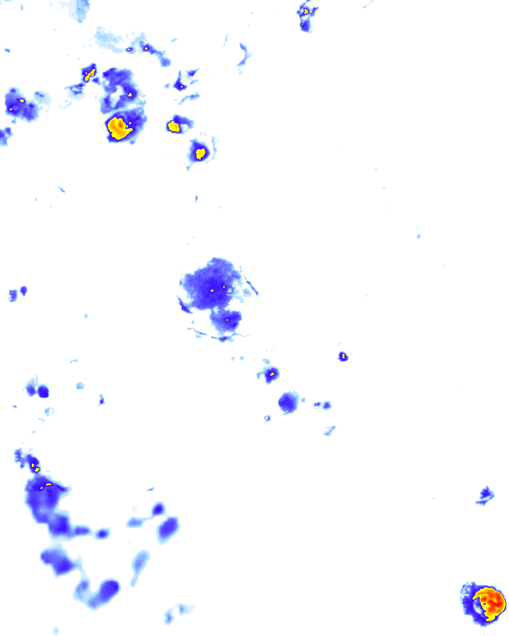 rainLayer