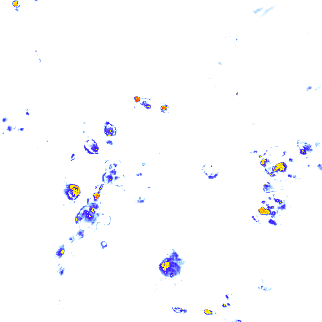 rainLayer