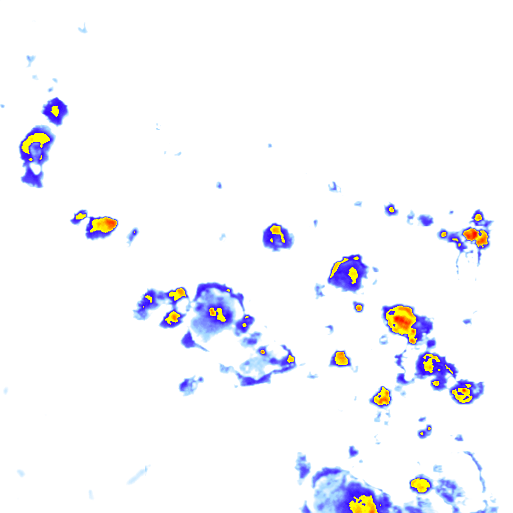 rainLayer