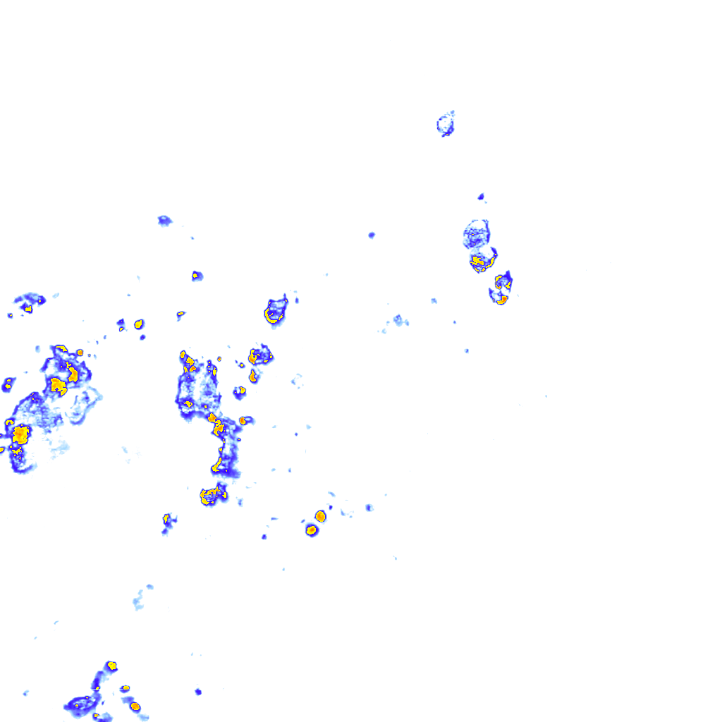 rainLayer