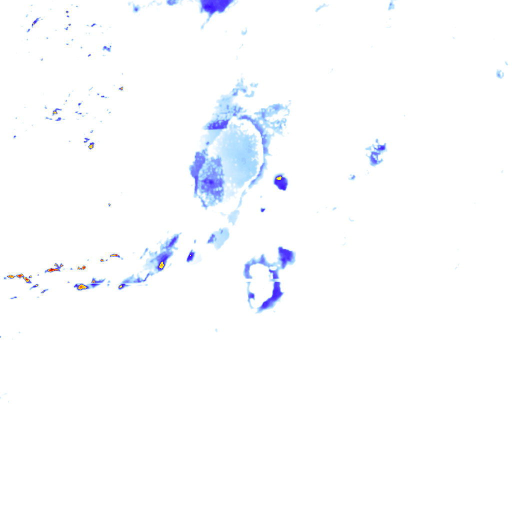 rainLayer