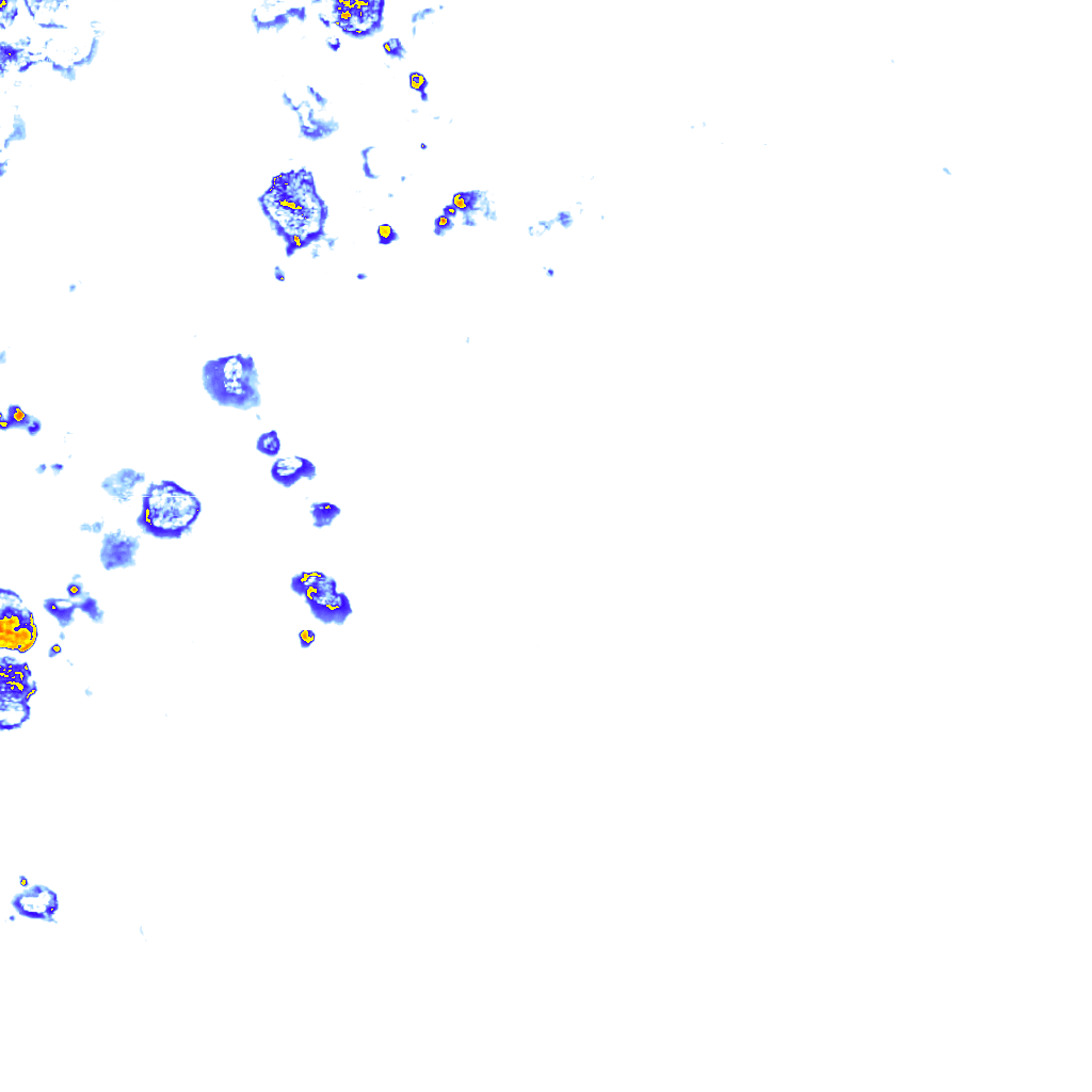rainLayer