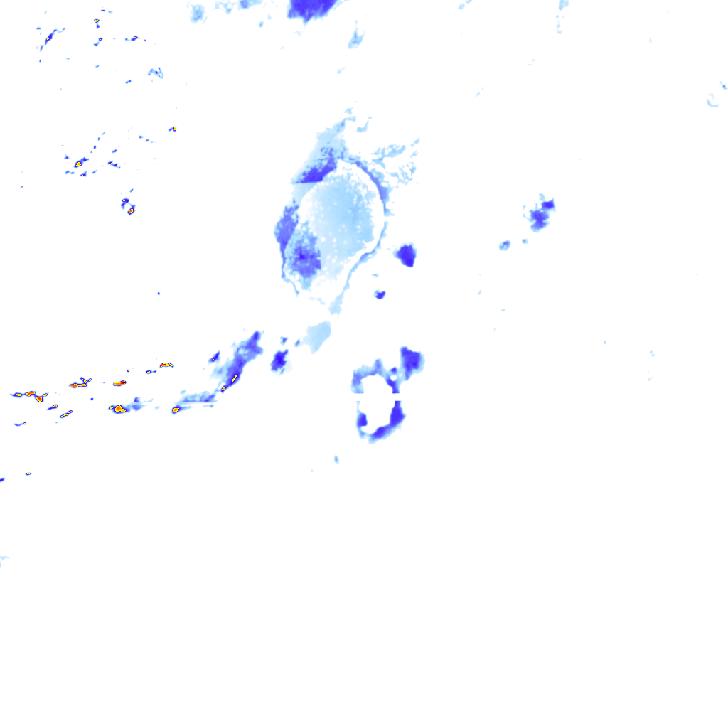 rainLayer