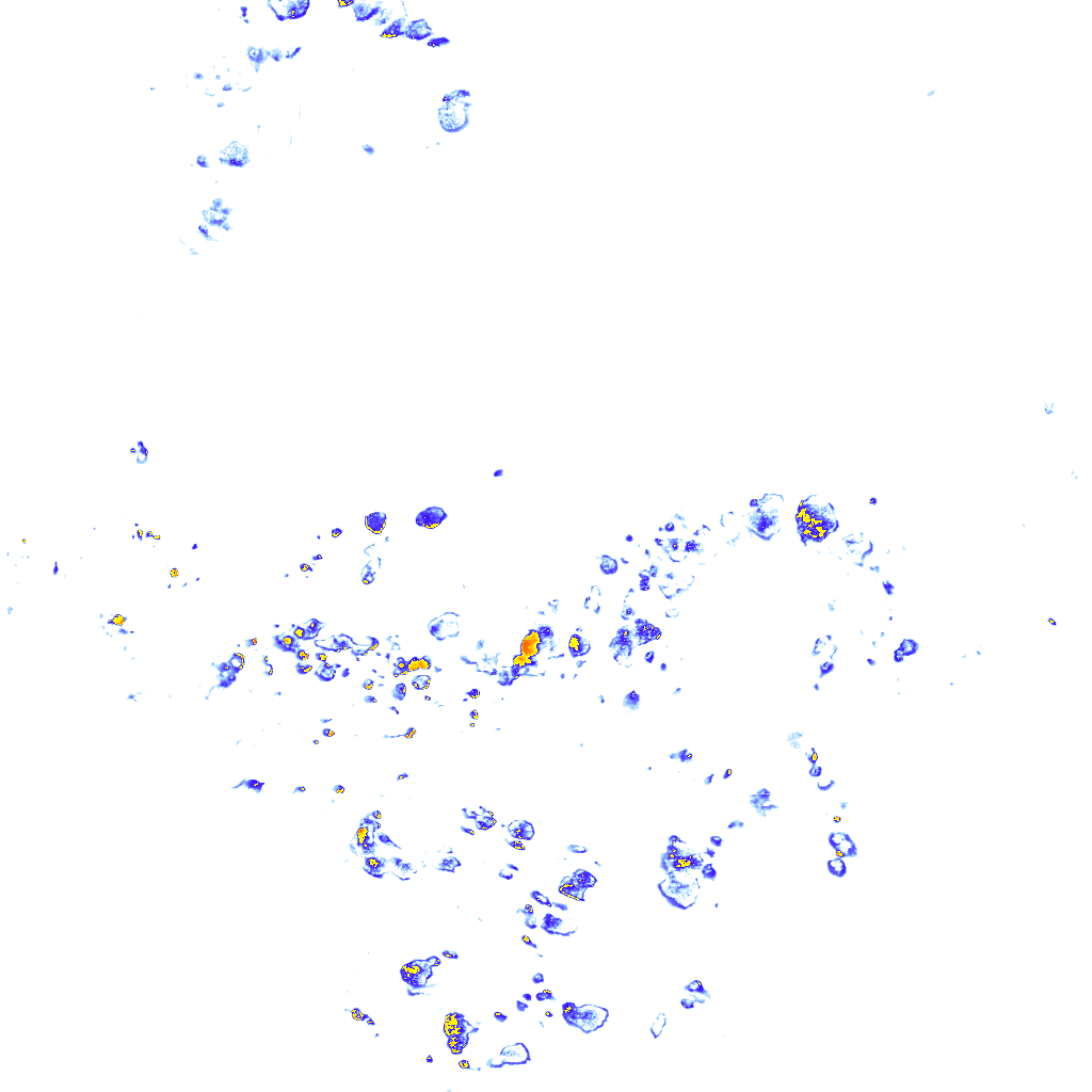 rainLayer