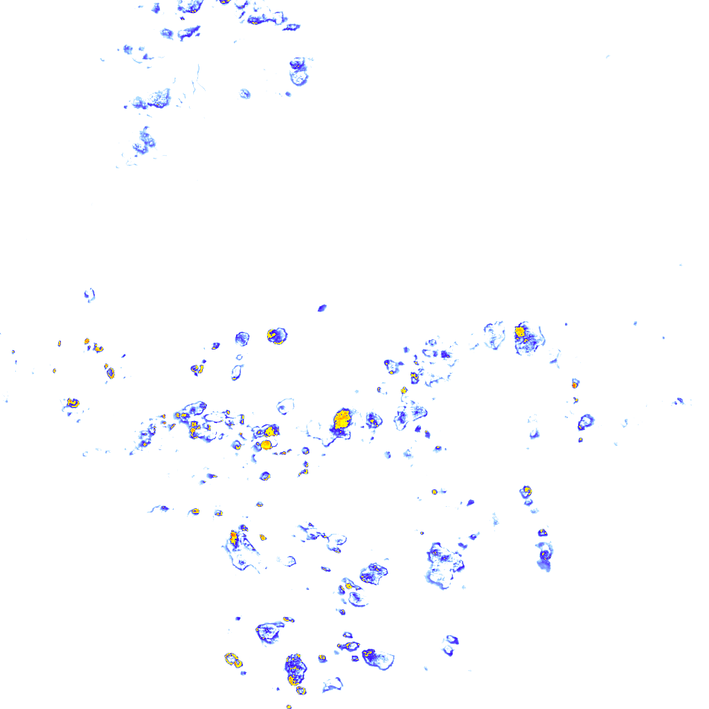 rainLayer
