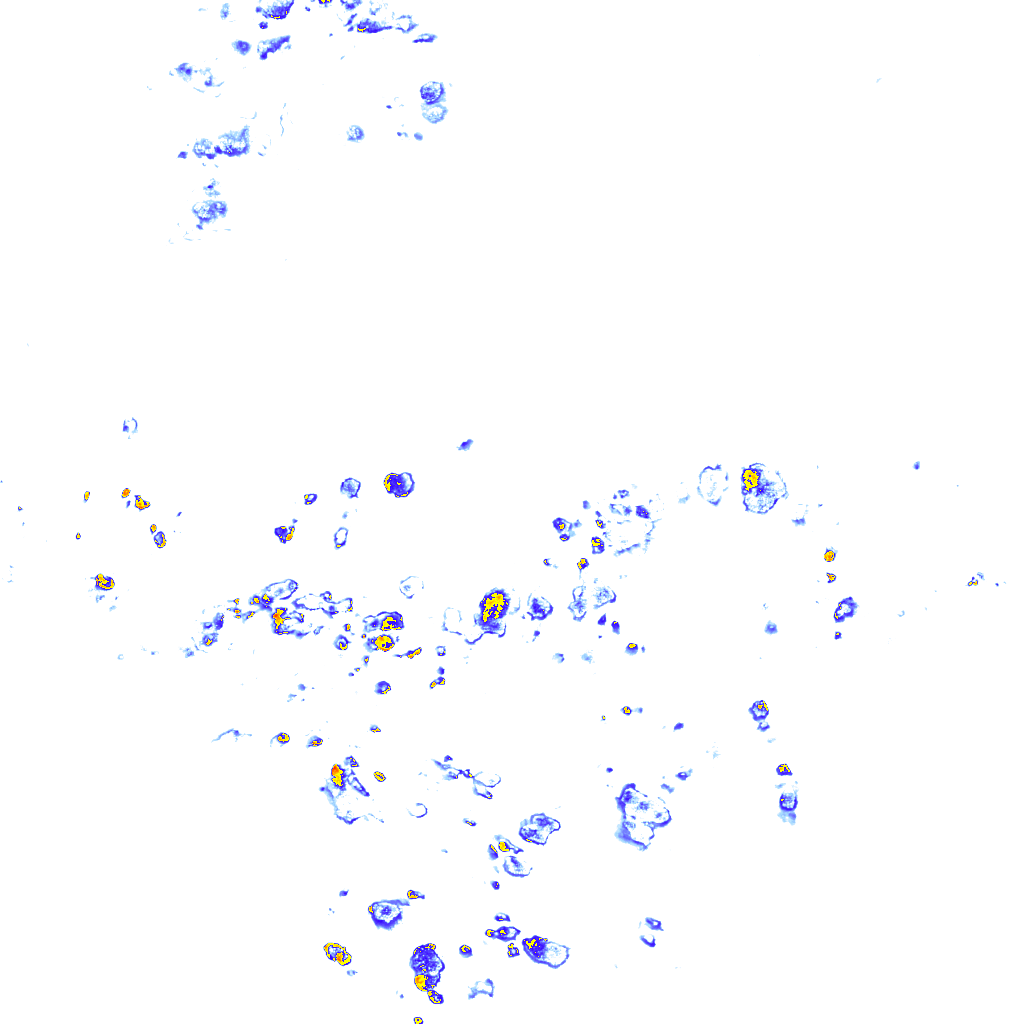 rainLayer