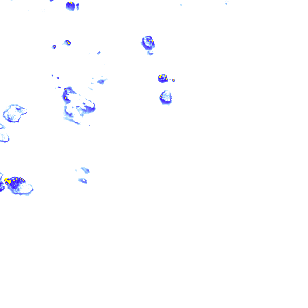 rainLayer