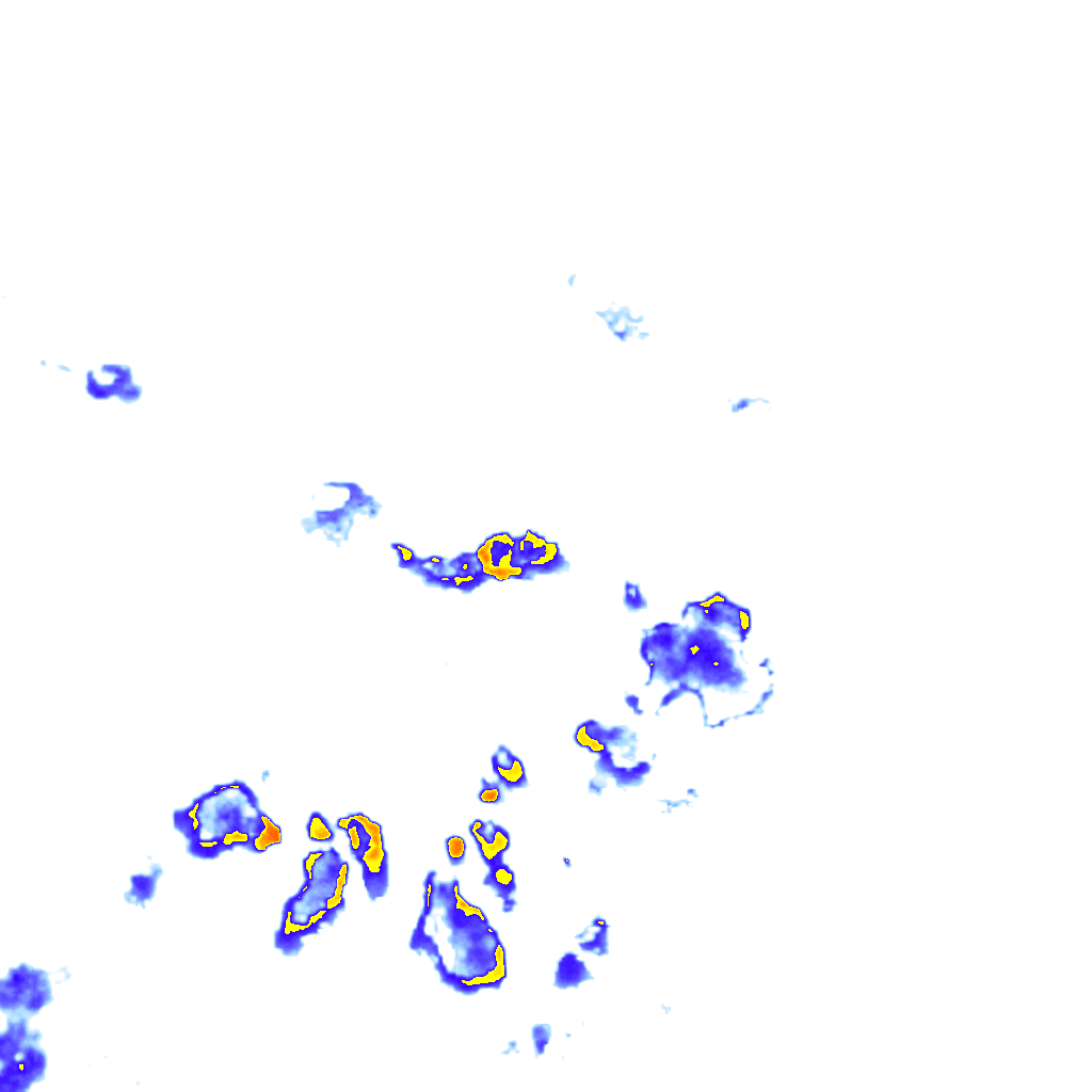 rainLayer