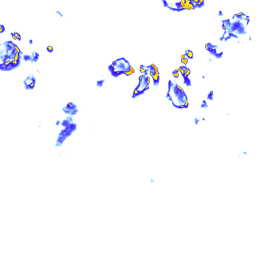 Image Layer