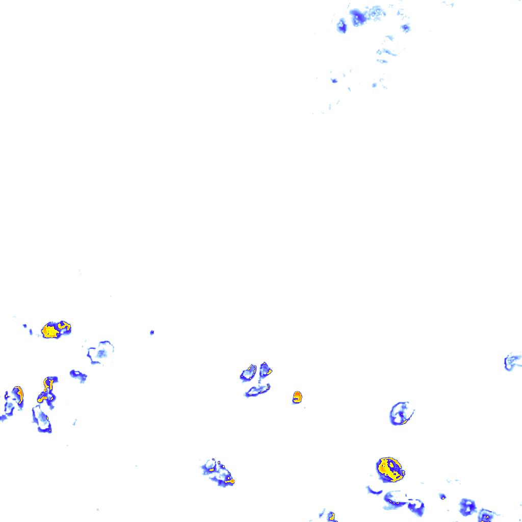 rainLayer