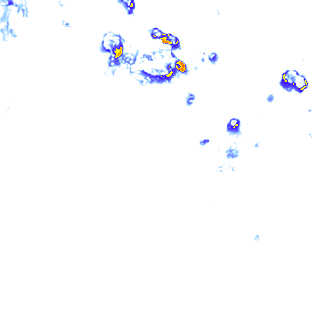 Image Layer
