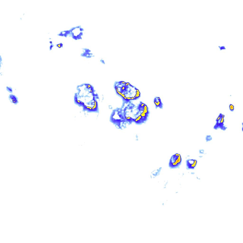 rainLayer
