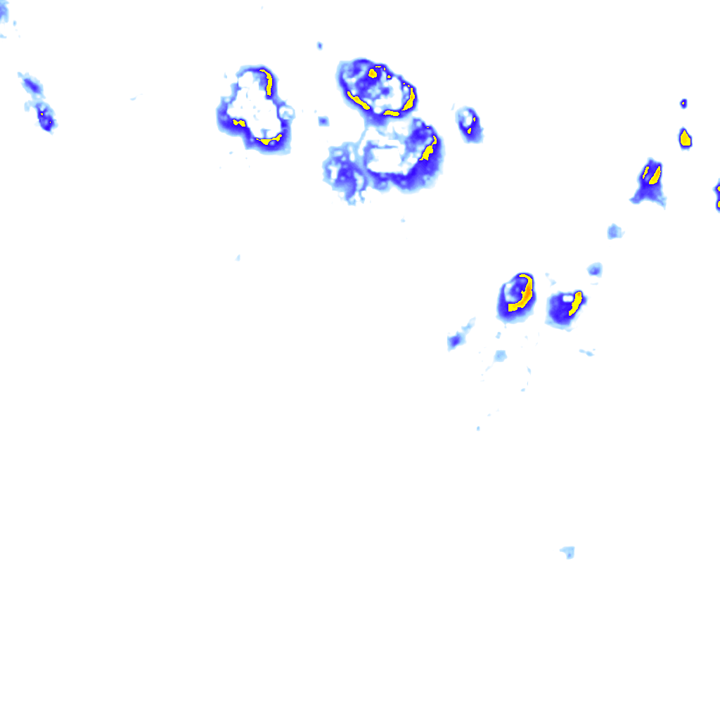 rainLayer