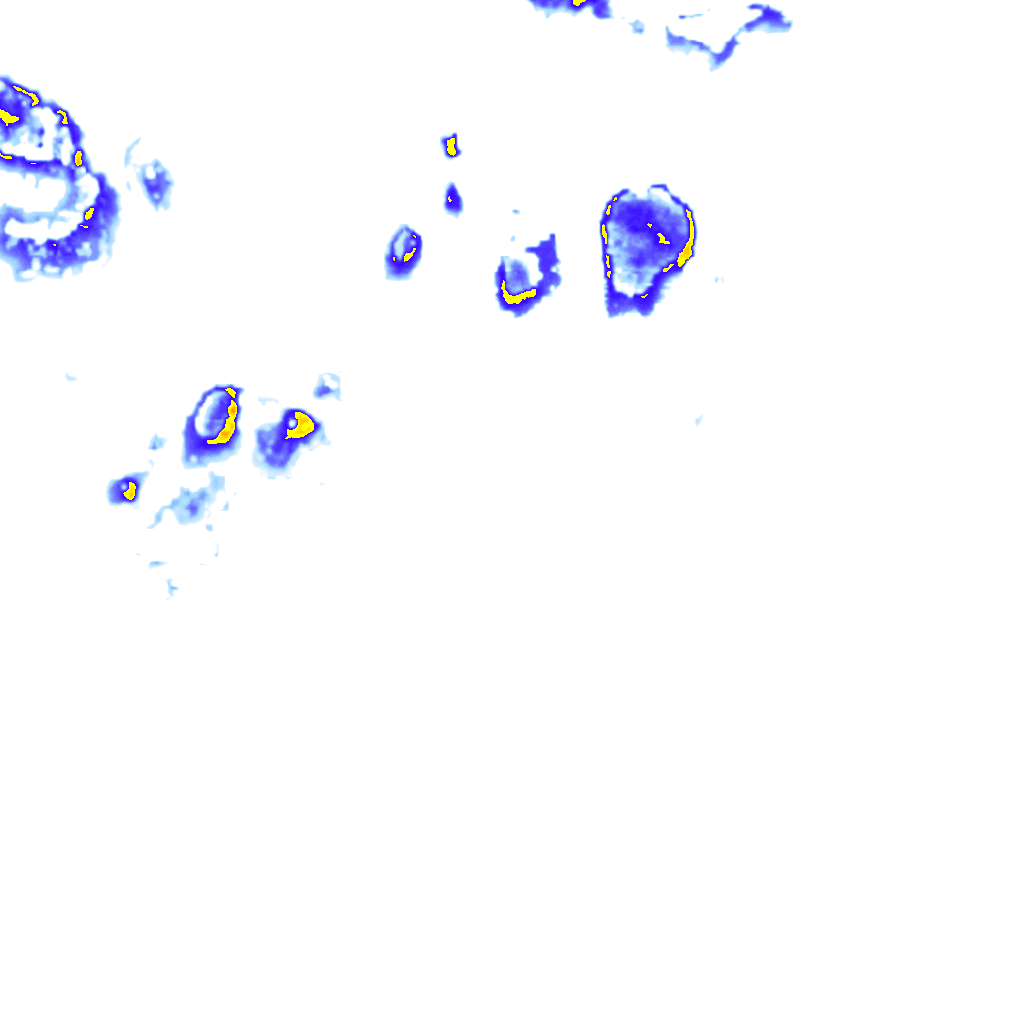 rainLayer