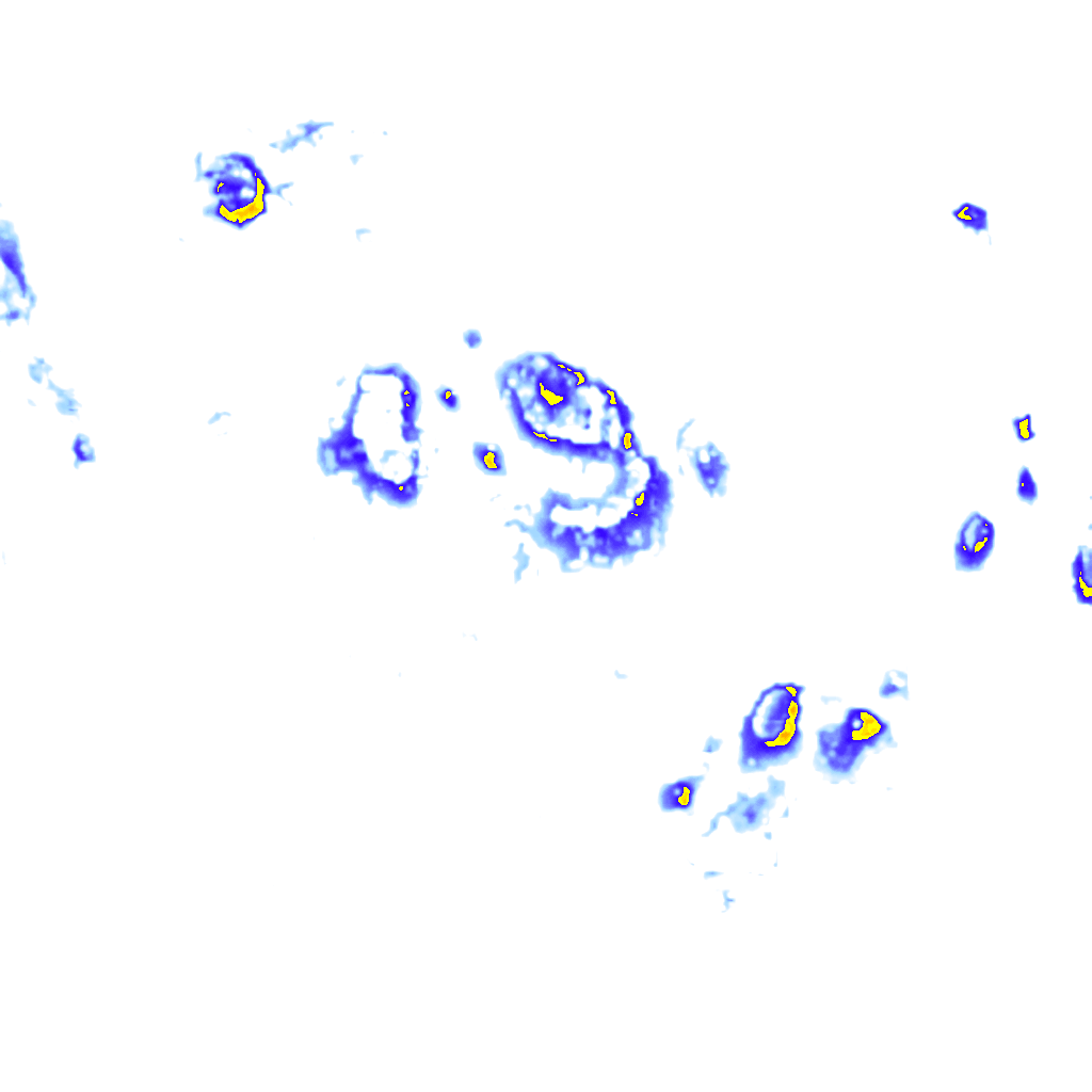 Image Layer