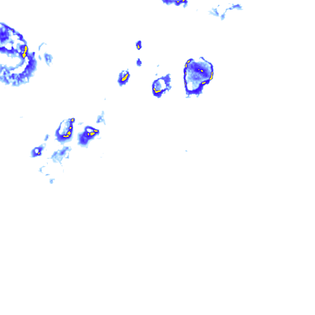 rainLayer