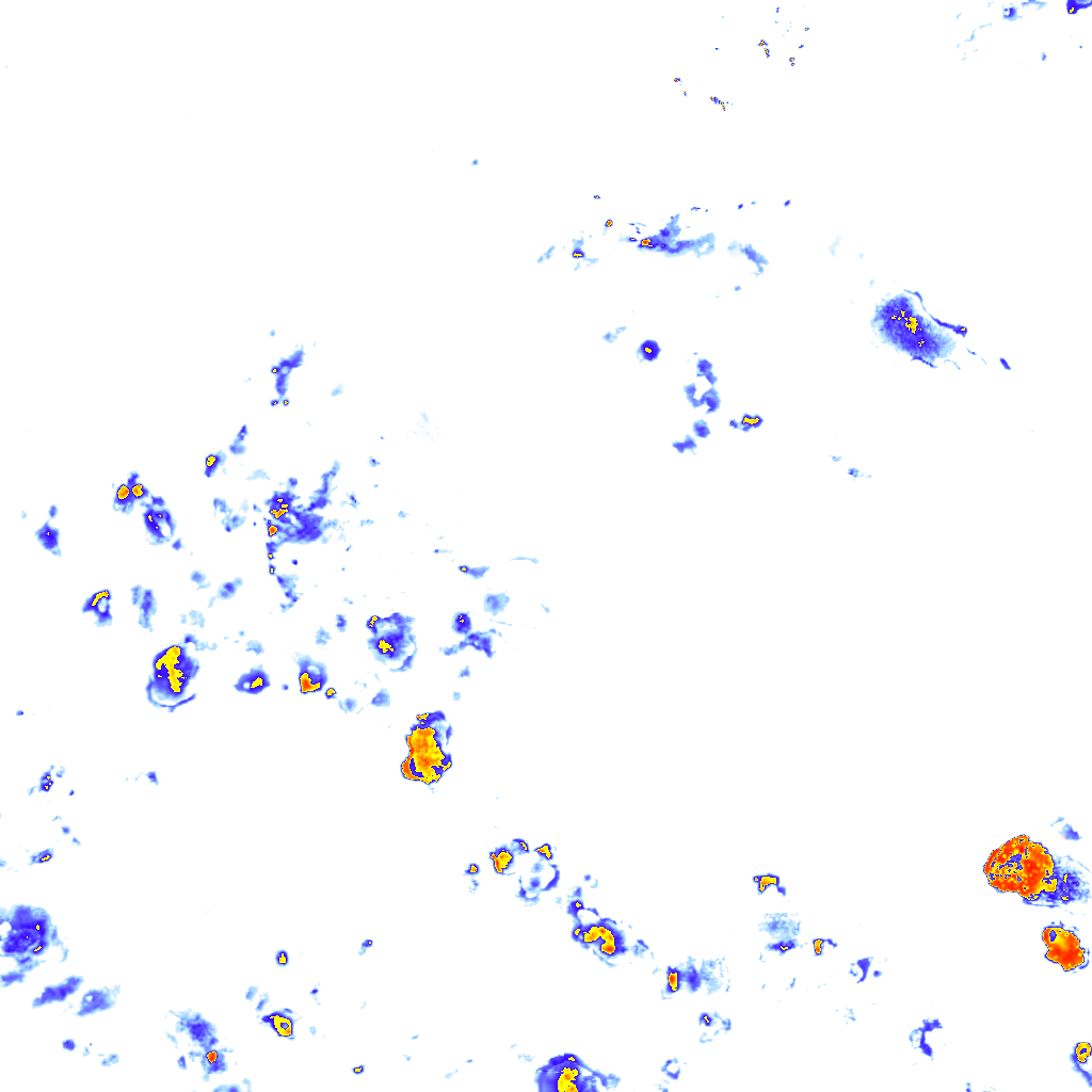 rainLayer