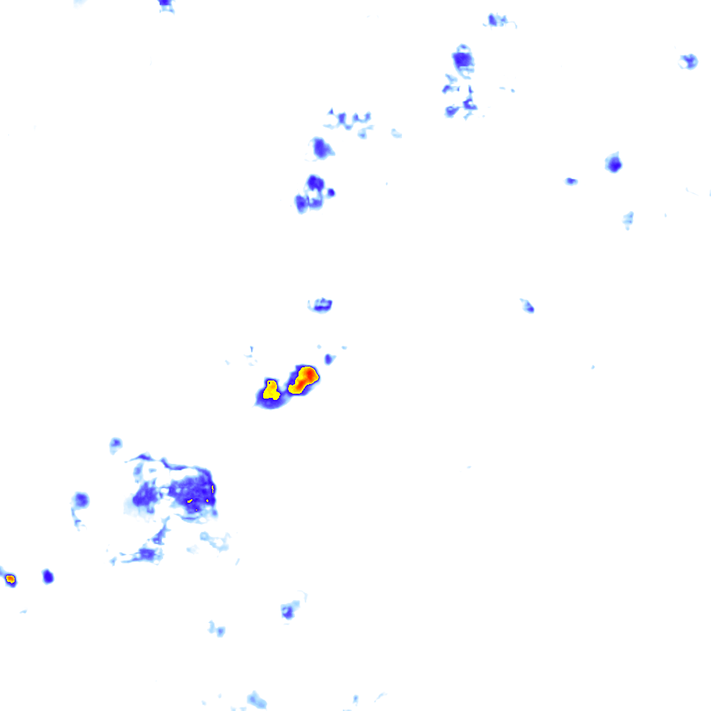 Image Layer