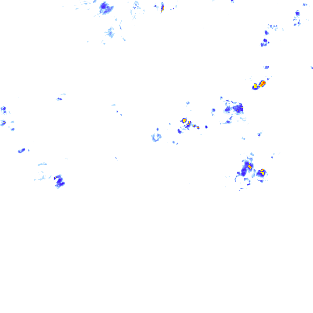 rainLayer