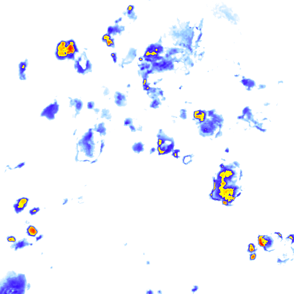 Image Layer
