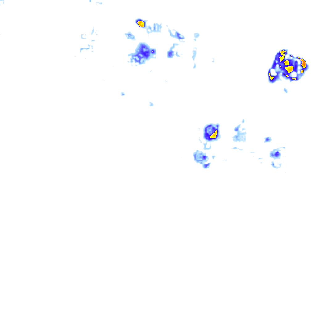 Image Layer