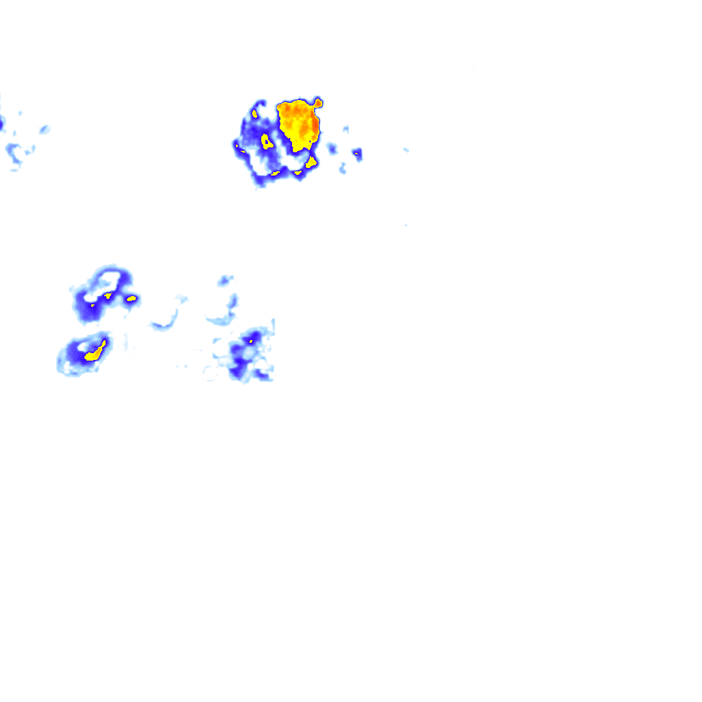 rainLayer
