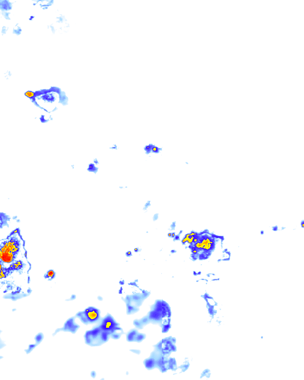 rainLayer